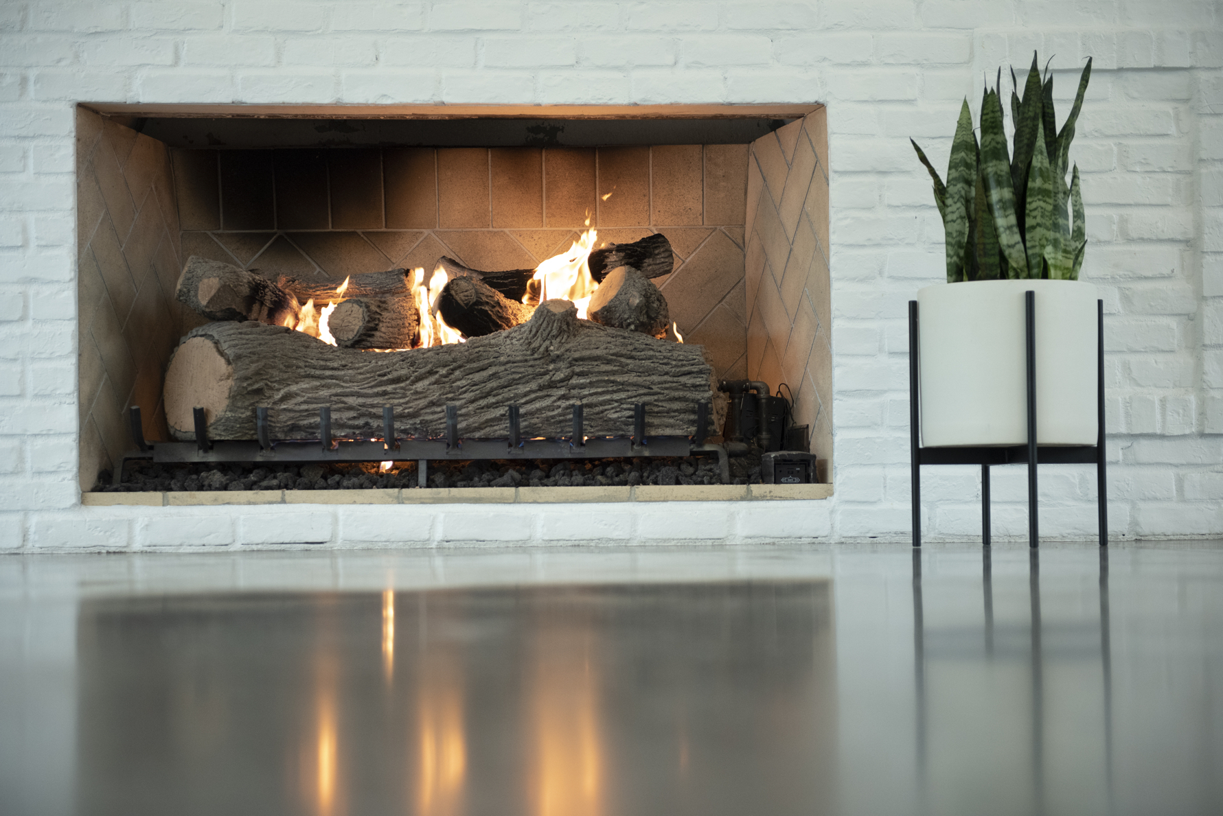 Warm fire place with green plant in front